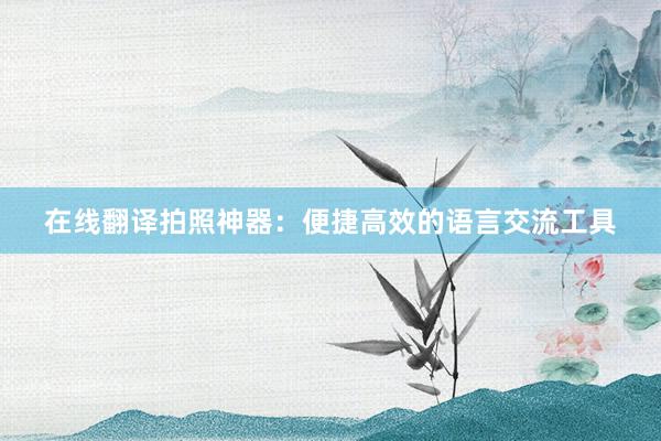 在线翻译拍照神器：便捷高效的语言交流工具